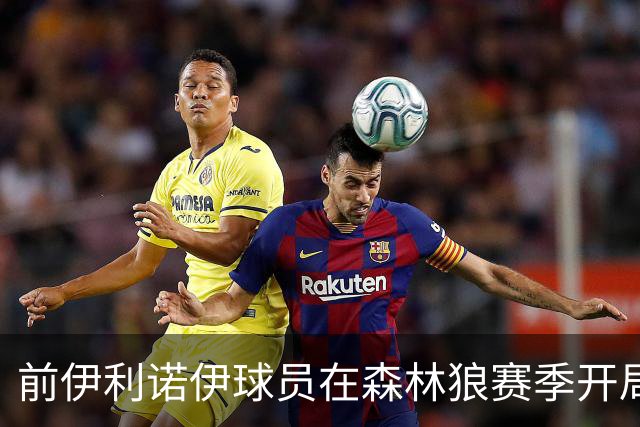前伊利诺伊球员在森林狼赛季开局大放异彩，多苏穆与香农表现抢眼