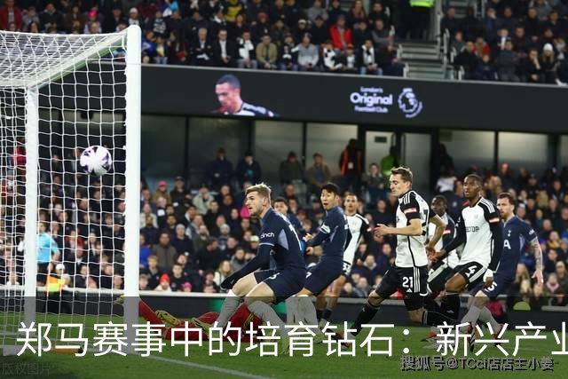 郑马赛事中的培育钻石：新兴产业的坚实力量